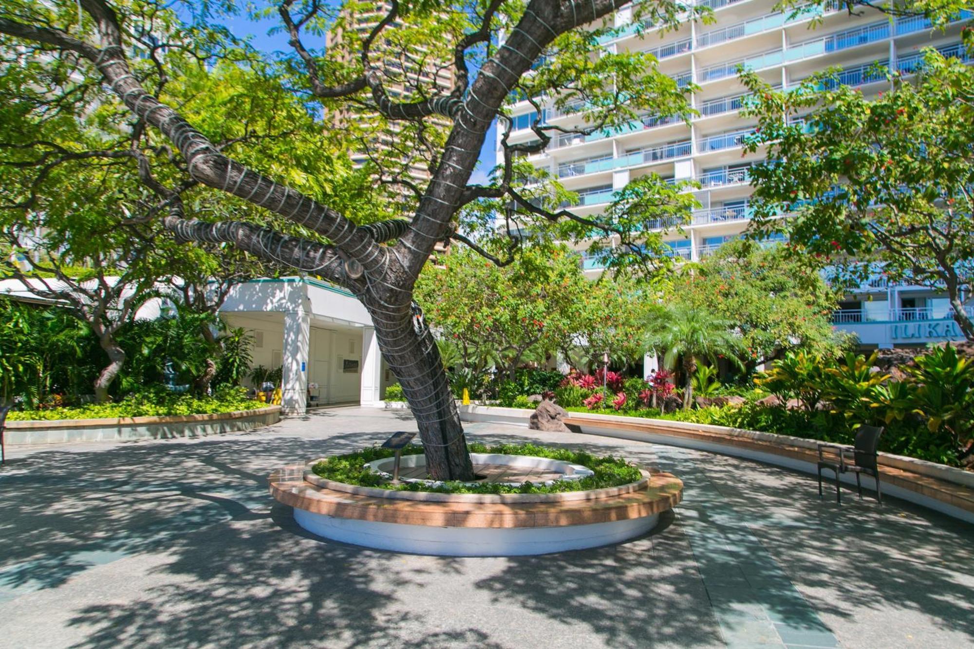 Ilikai Tower 931 Yacht Harbor View 1Br Apartment Honolulu Exterior photo